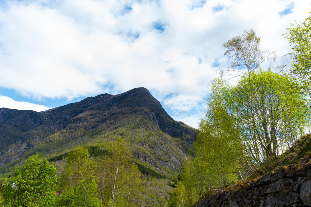 Lista Larga de Dónde Hacer Hiking en Jalisco 2026