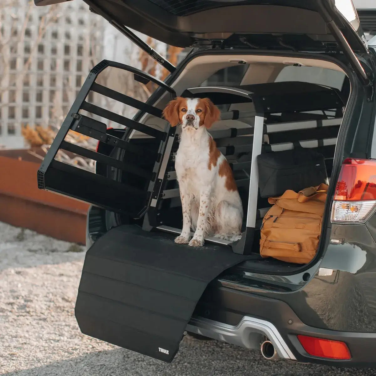 Jaula Transportadora para Mascotas Allax THULE