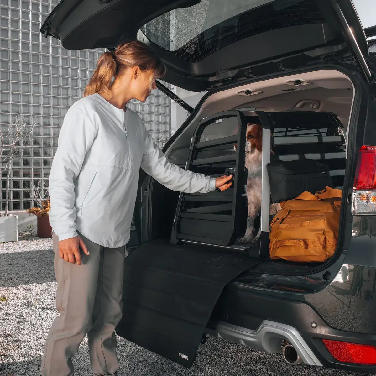 Jaula Transportadora para Mascotas Allax THULE