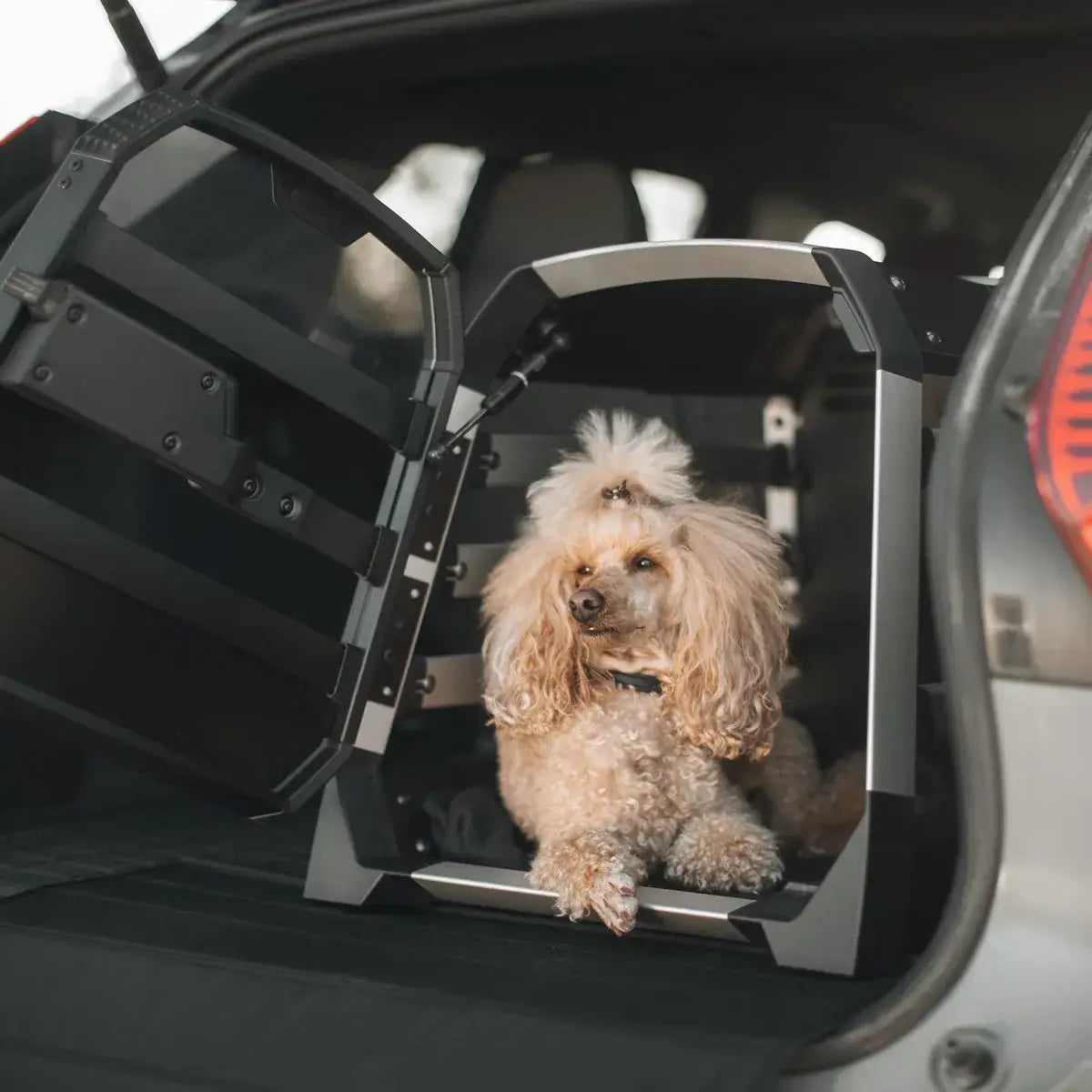 Jaula Transportadora para Mascotas Allax THULE