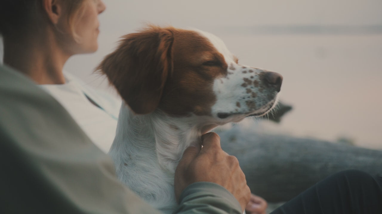 Cargar vídeo: Jaula Transportadora para Mascotas Allax THULE